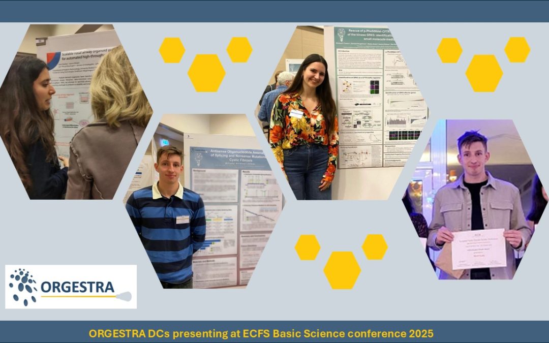 ORGESTRA DCs attend ECFS conference